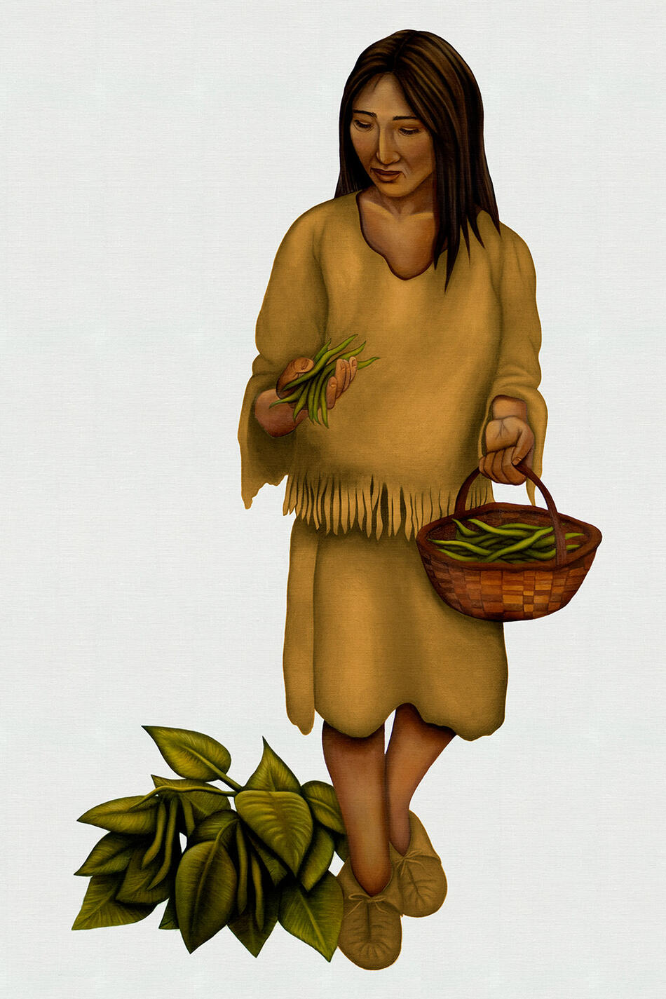 Sister Bean of the Three Sisters, by Shayde Sandy.