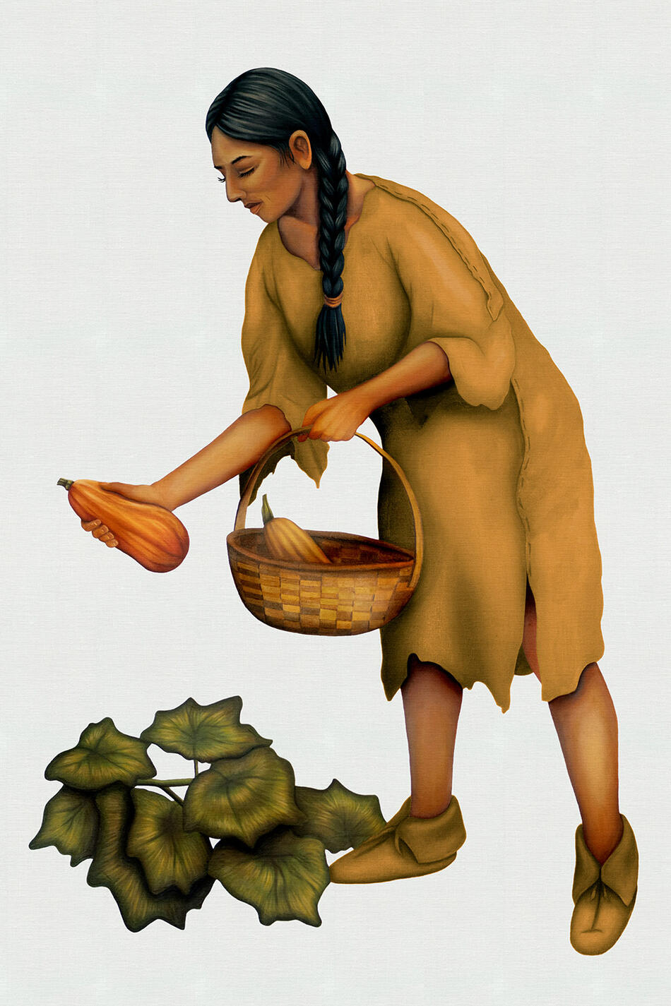 Sister Squash of the Three Sisters, by Shayde Sandy.